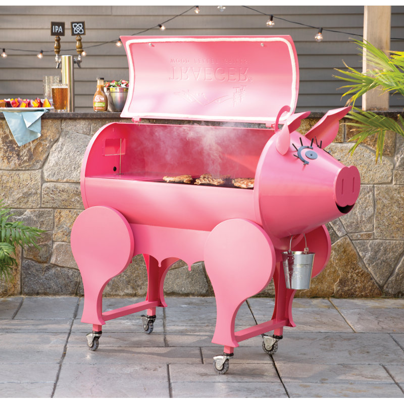 Traeger Pellet Grills Lil' Pig Wood Pellet Grill & Reviews Wayfair